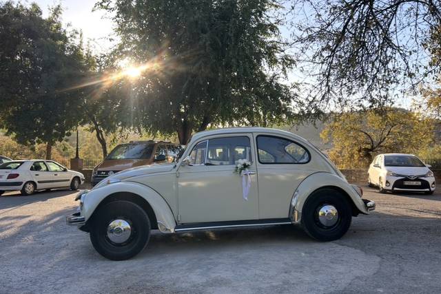 Volkswagen Escarabajo