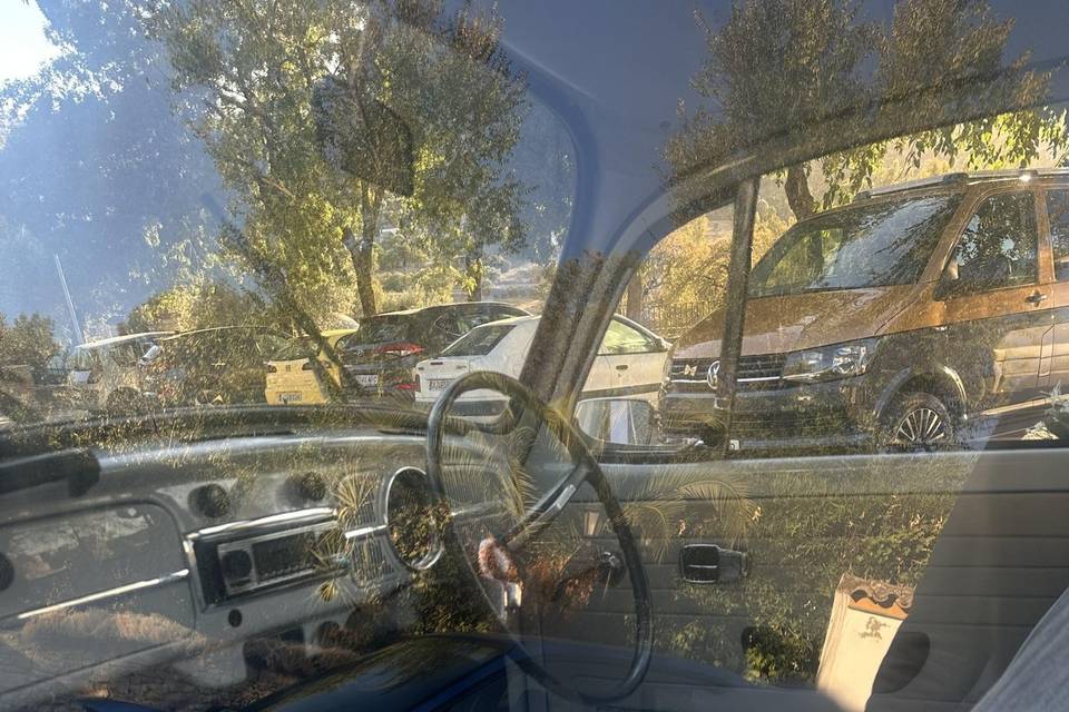 Volkswagen Escarabajo