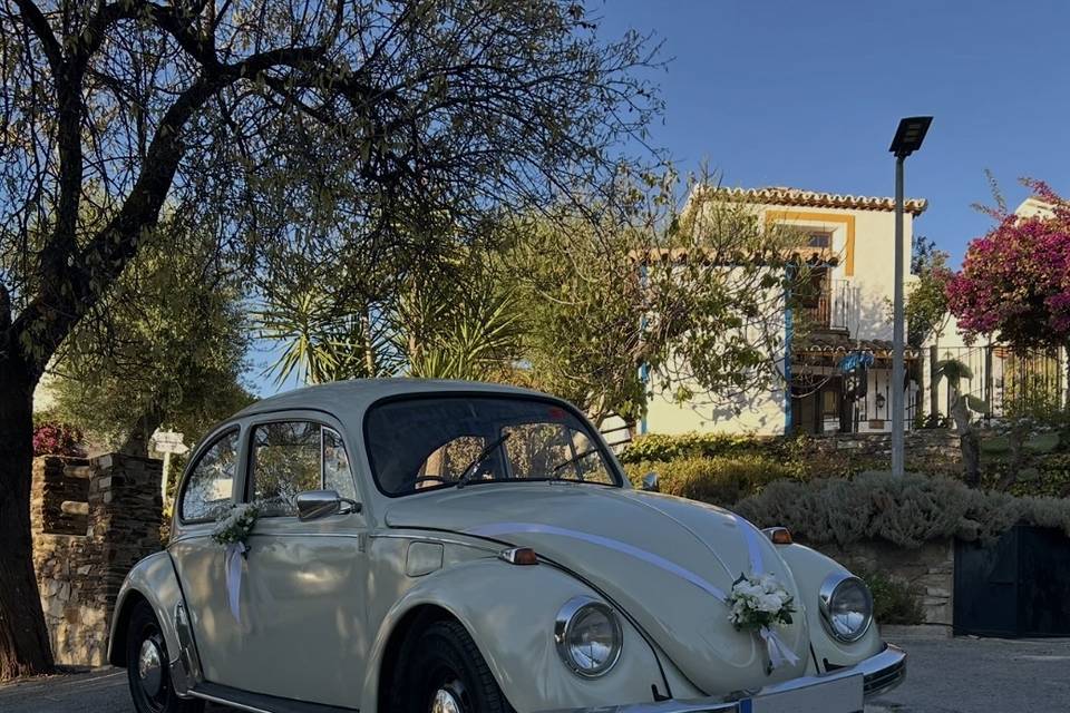 Volkswagen Escarabajo