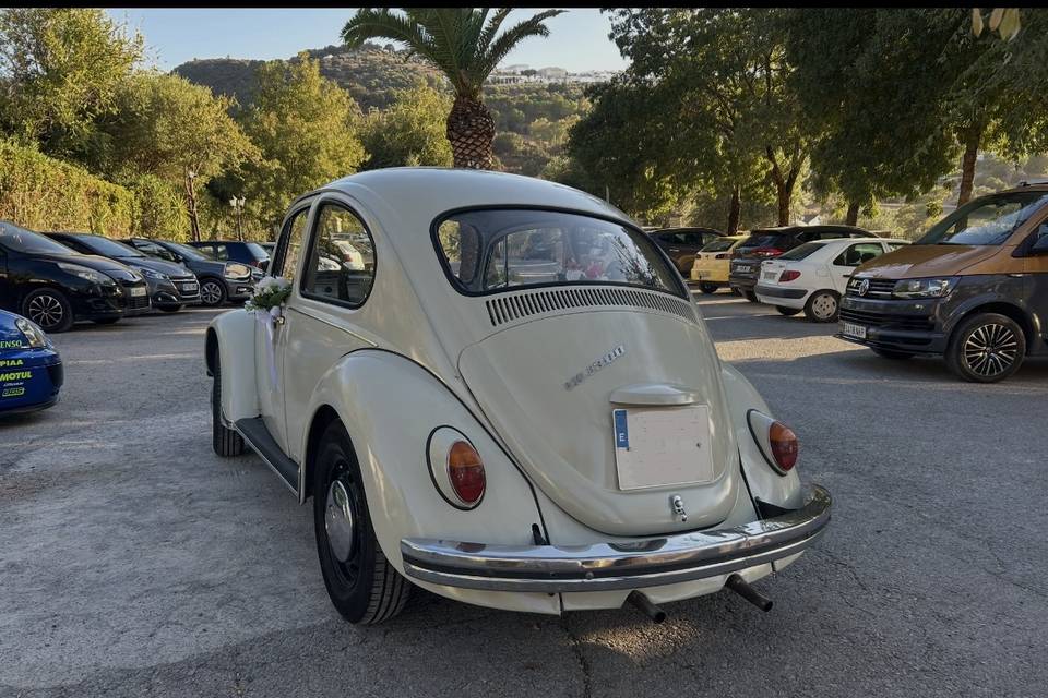 Volkswagen Escarabajo
