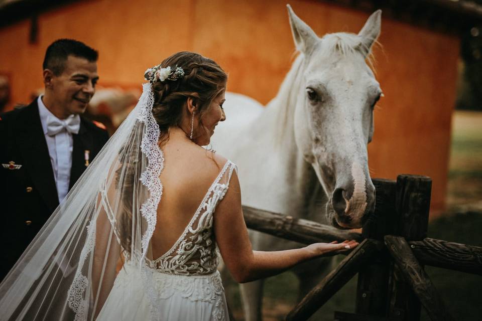 Parejas espontáneas