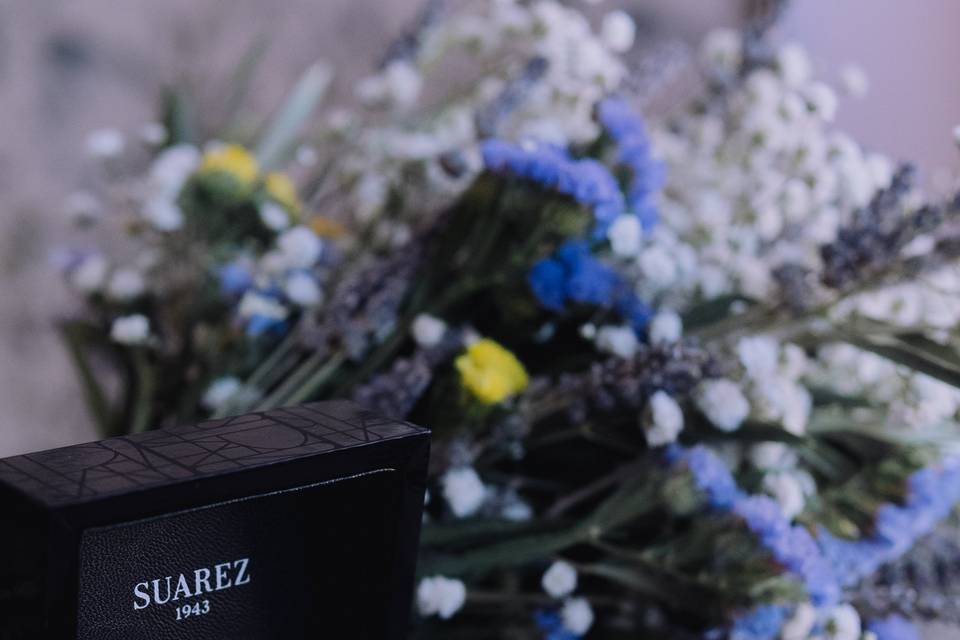 Alianzas