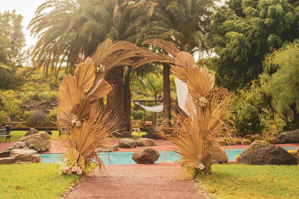 Arco de hojas de palmera