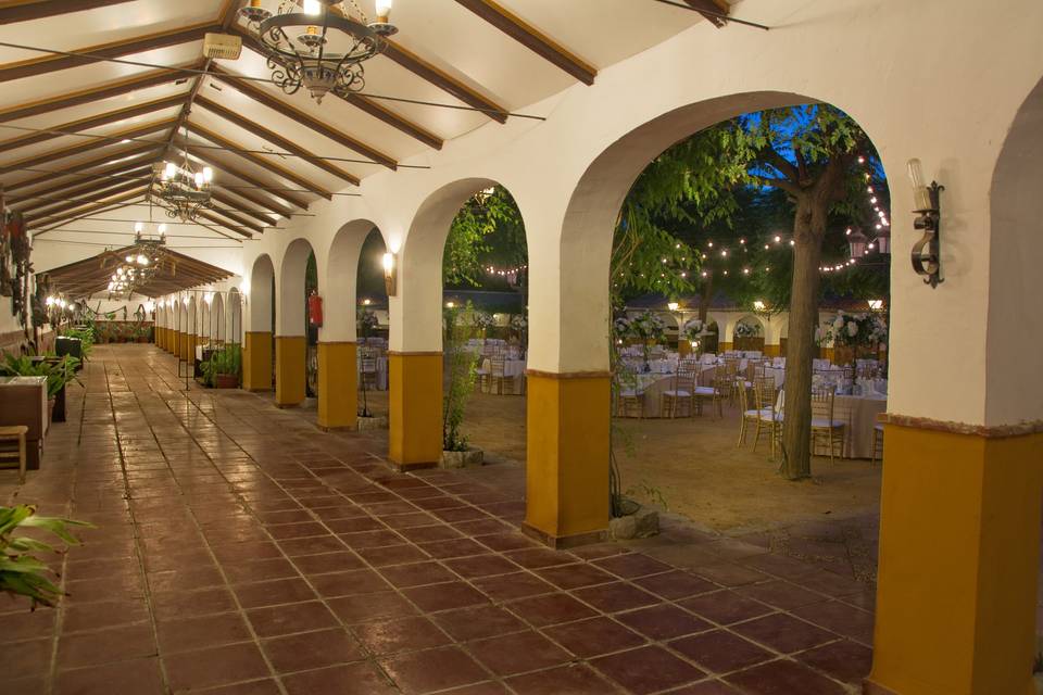 Patio de Albero