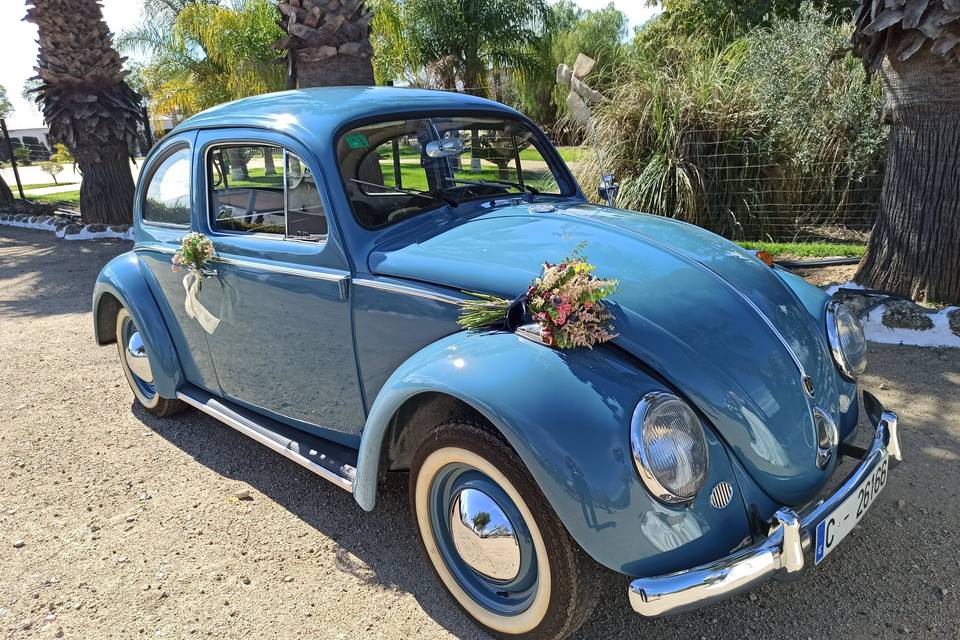 Volkswagen escarabajo