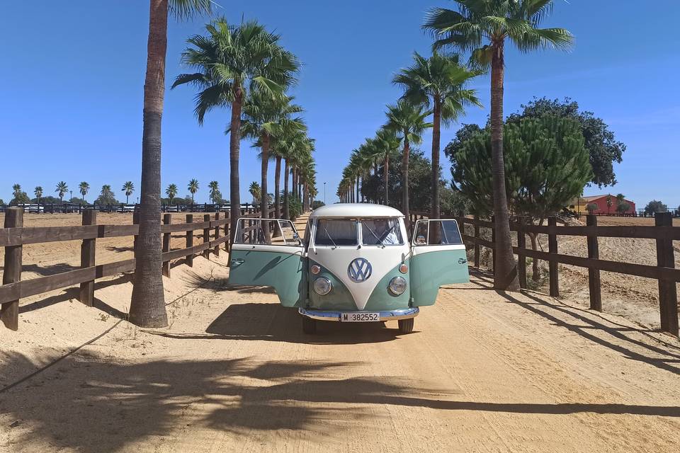 VW T1 Verde Agua