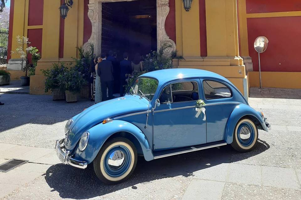 Volkswagen escarabajo azul