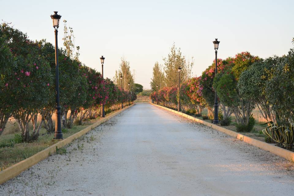 Hacienda Vera Cruz