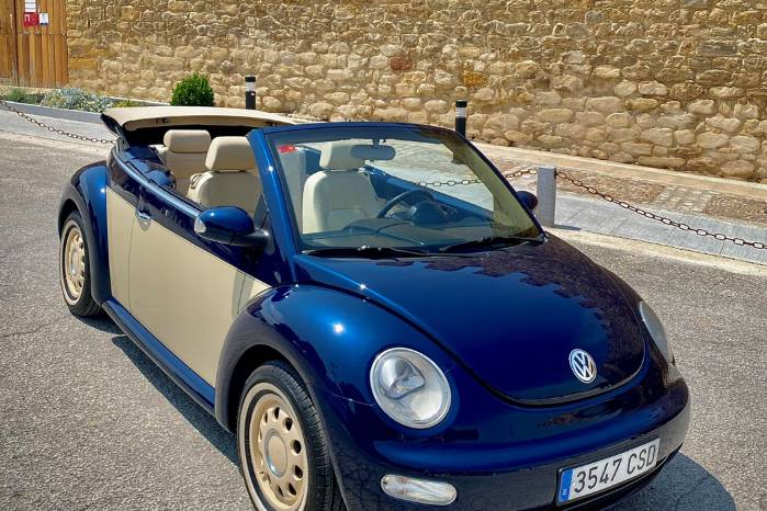 Beetle royal