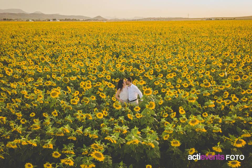 Preboda con girasoles