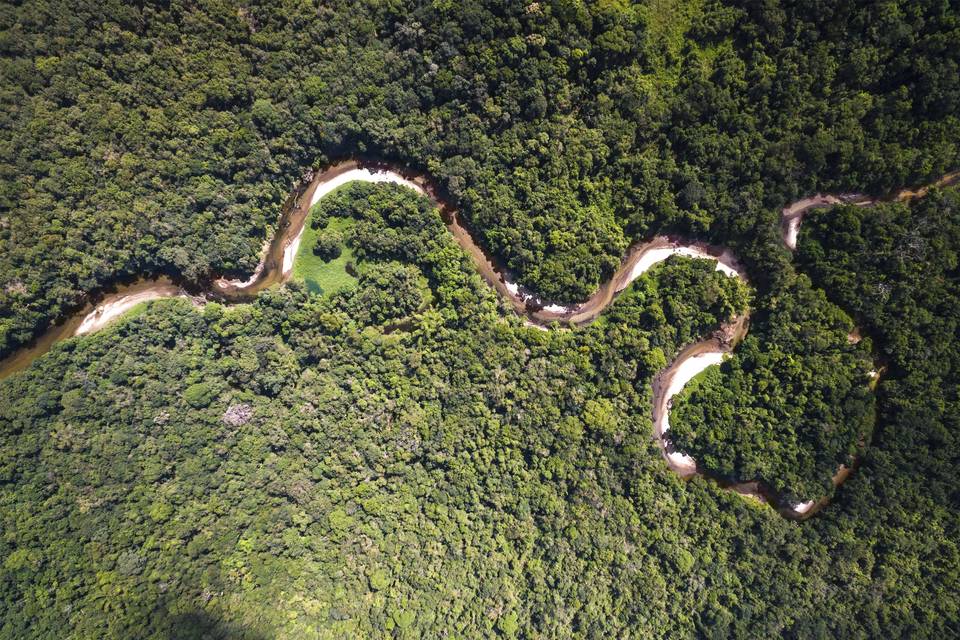 Río Amazónico