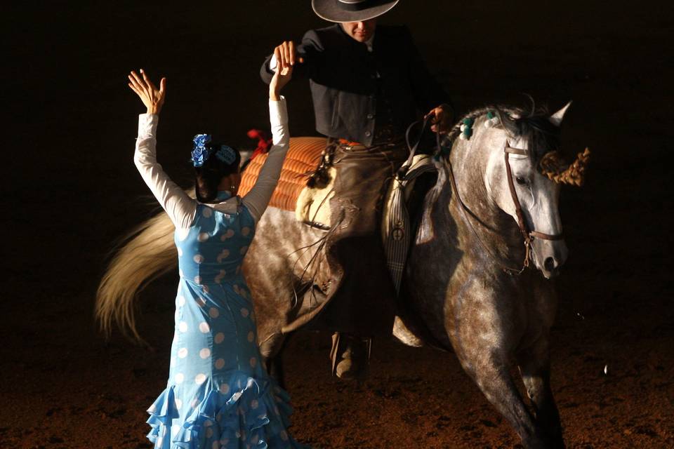 Sevillanas con caballo