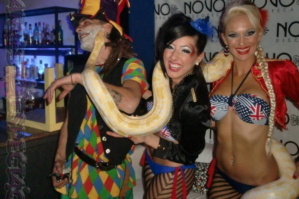 Circus world party