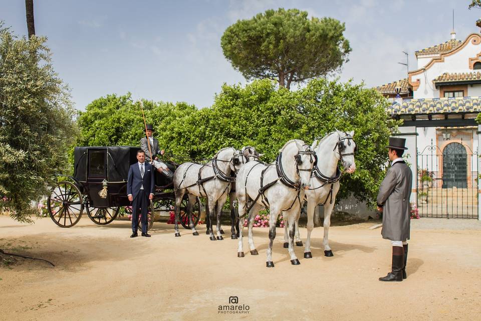 Coche de caballos