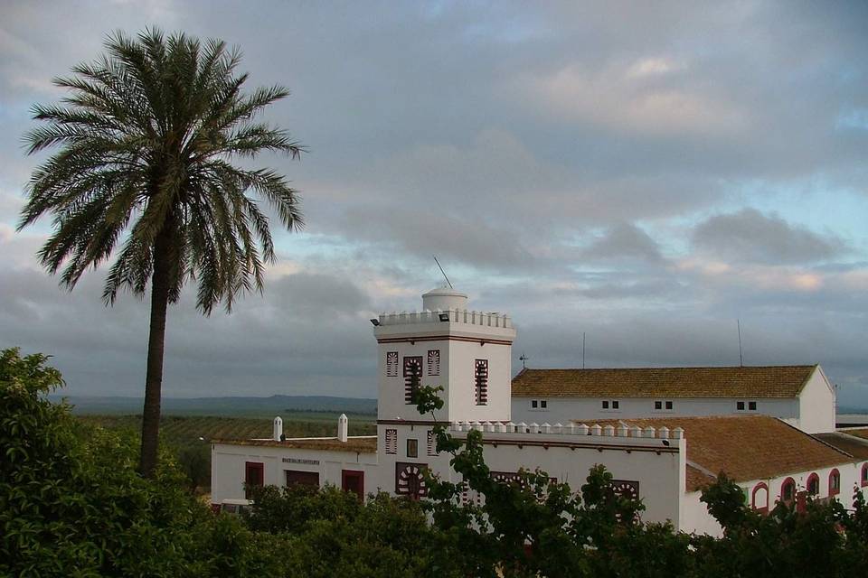 Hacienda San Felipe