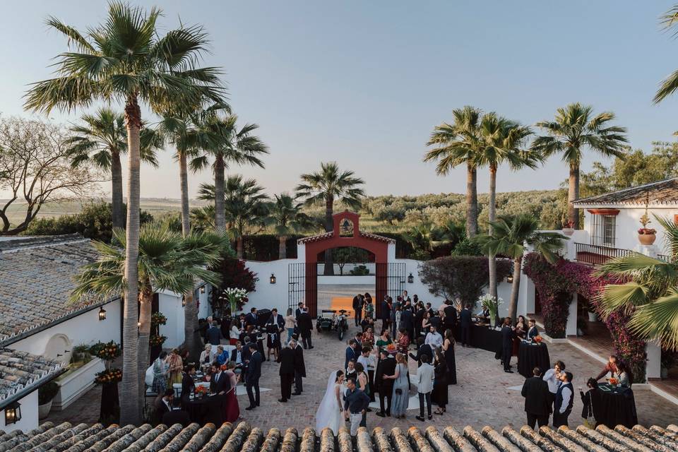 Patio de los Caballos Vizir