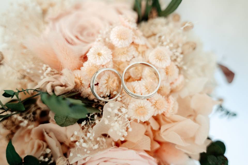 Anillos