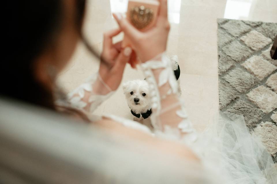 Preparativos novia