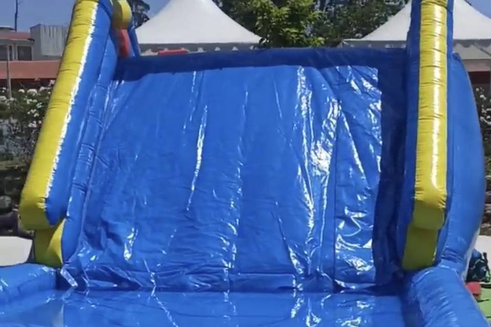 Hinchable acuático