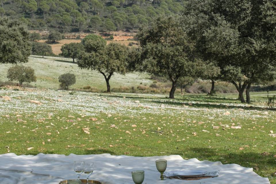 Naturaleza, calma, exclusivida
