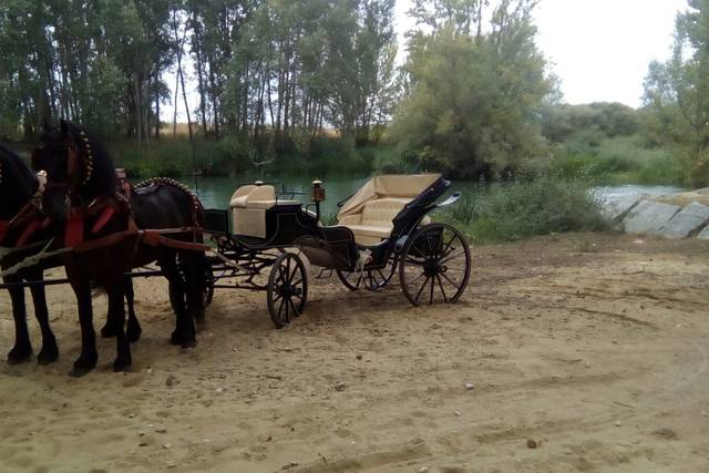 Boda en Valderas