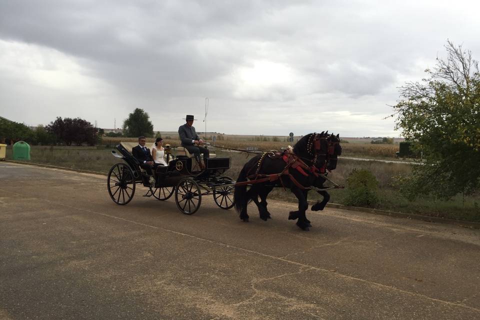 Boda en Valderas