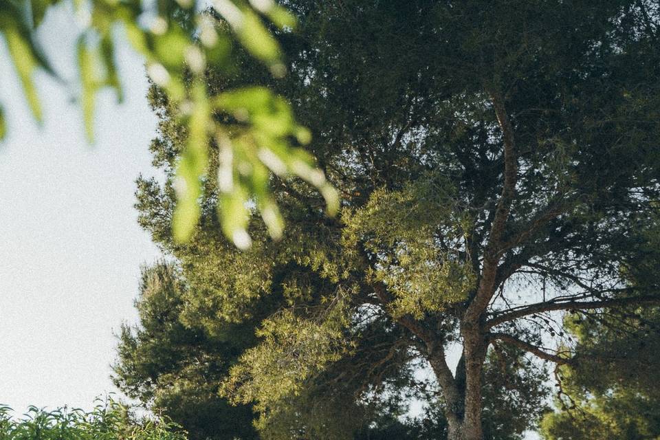 Masia Cabellut