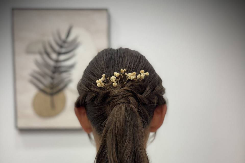 ✨
