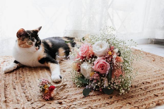 Mis flores secas, siempreviva y paniculata - Manualidades - Foro Bodas.net