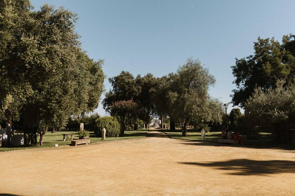 El Esparragal