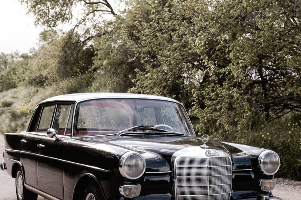 Mercedes colas