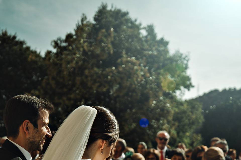 Bodas