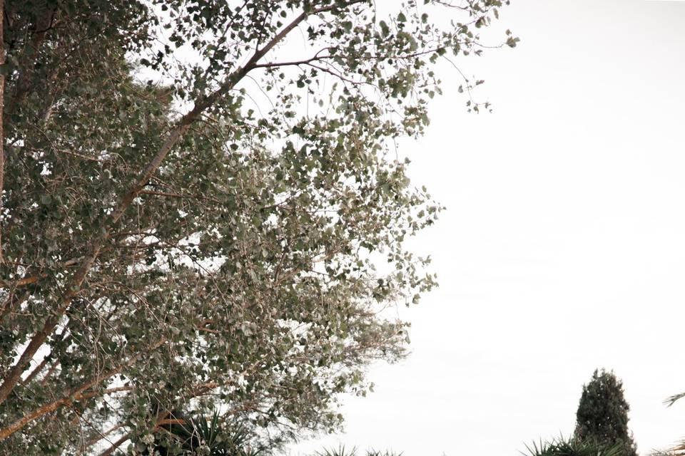 Fotografía de bodas