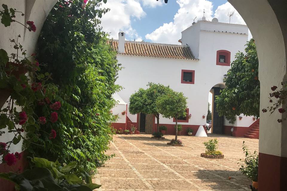 El camino del patio de los nar