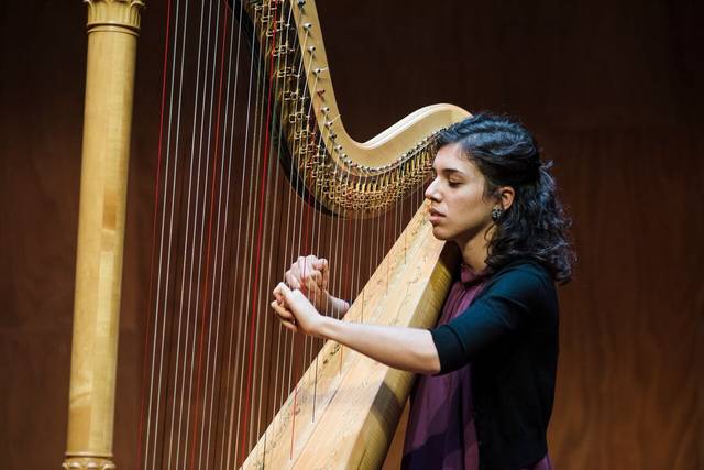 Carmen Escobar - Arpista