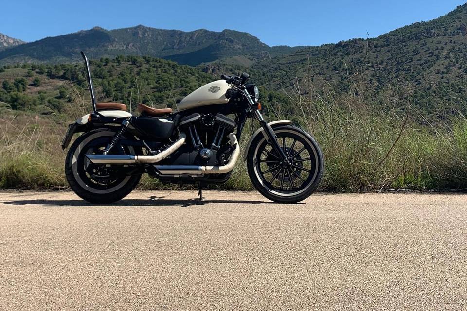 Harley Davidson Xl