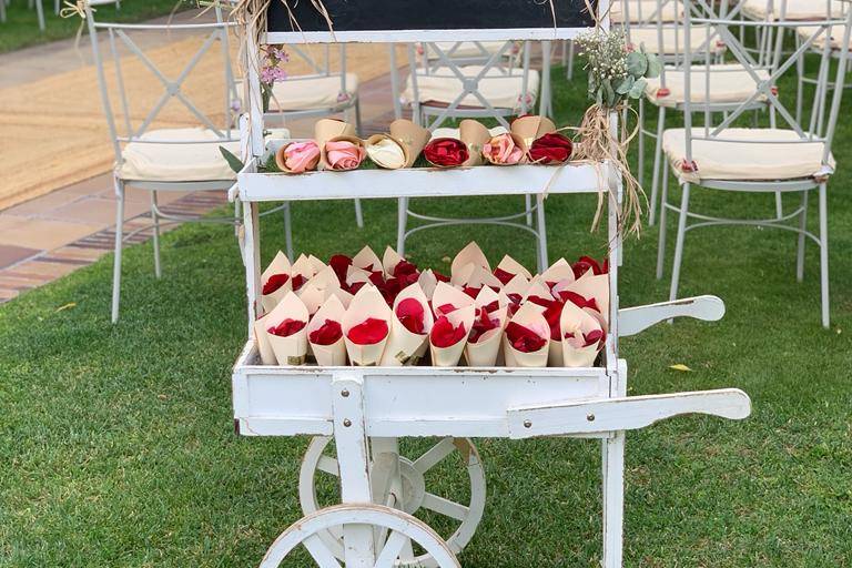 Carrito pequeño