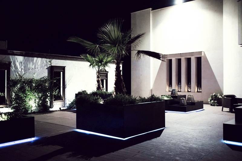 Jardín nocturno (3)