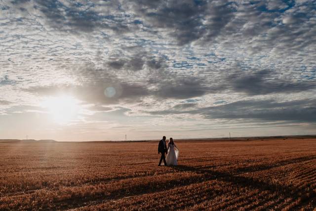 Campos de Castilla