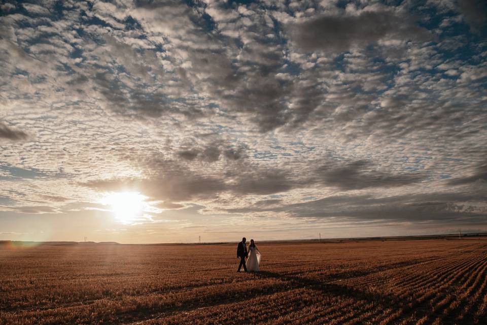 Los campos de Castilla