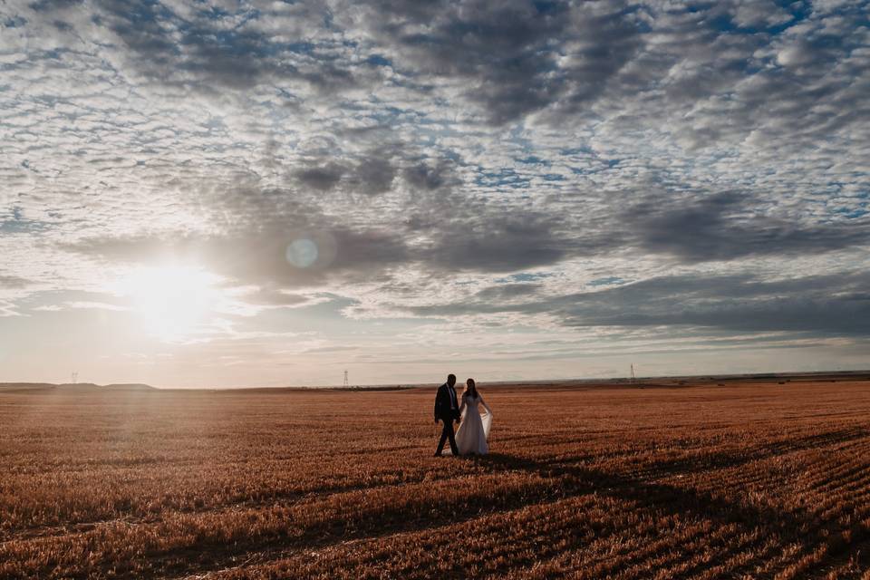 Campos de Castilla