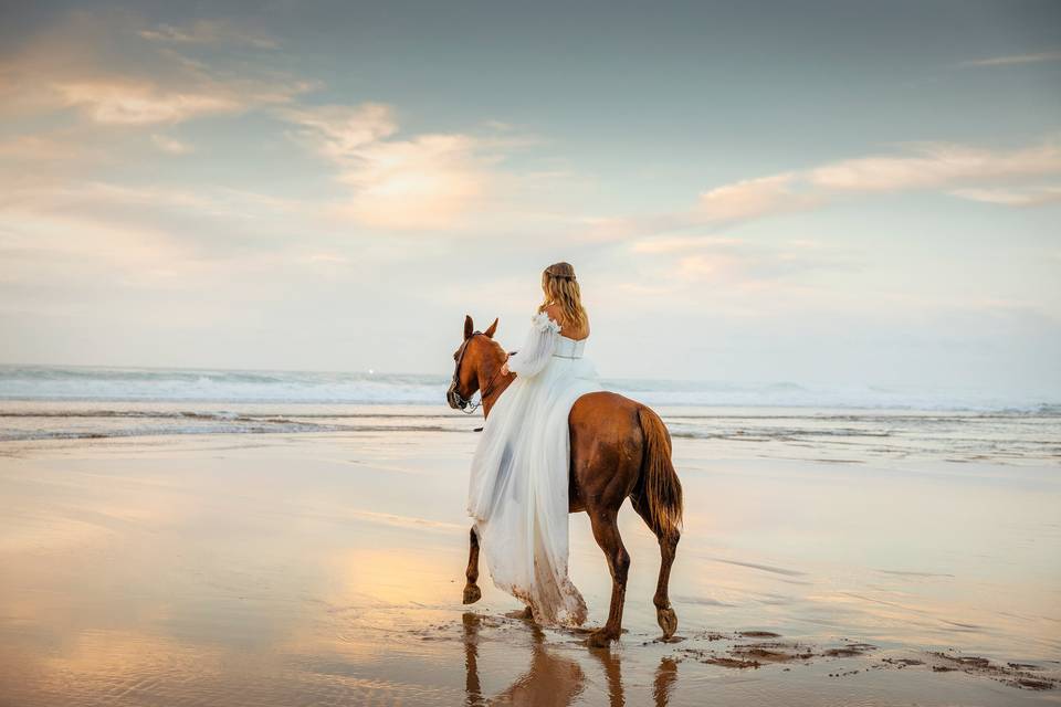 Postboda Noja