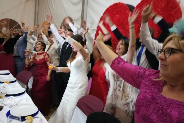 Alegría de la fiesta