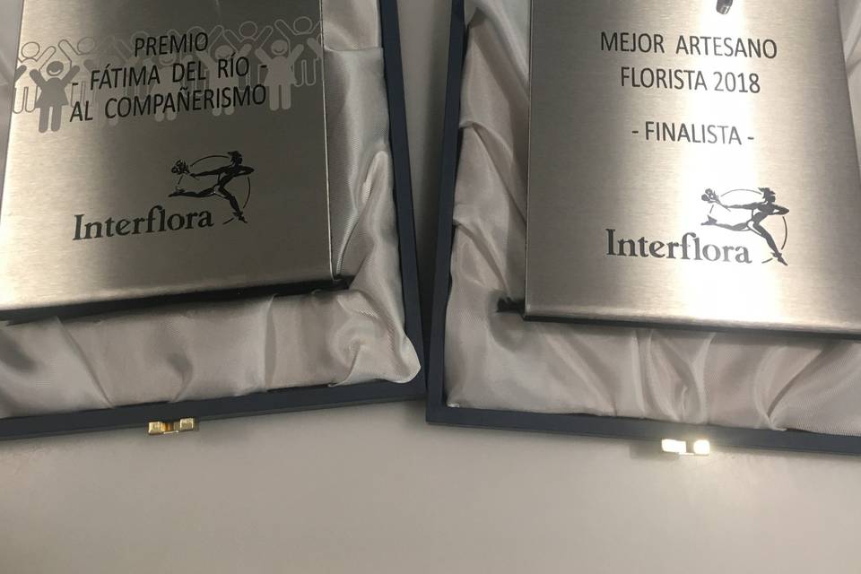 Finalista 2018 mejor artesano