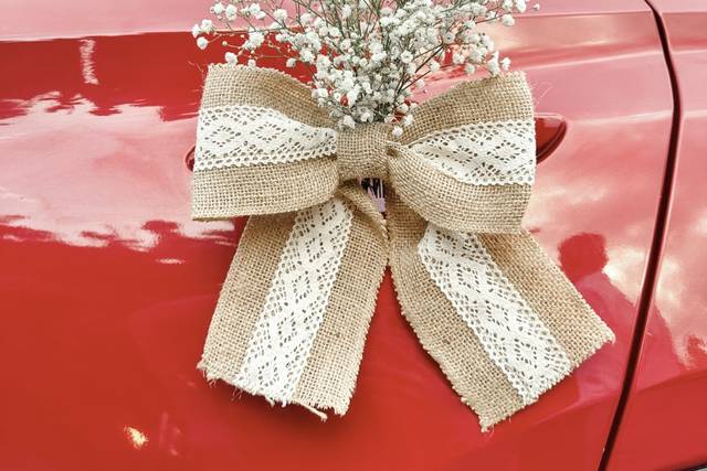 Detalles del coche