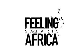 Feeling África Safaris