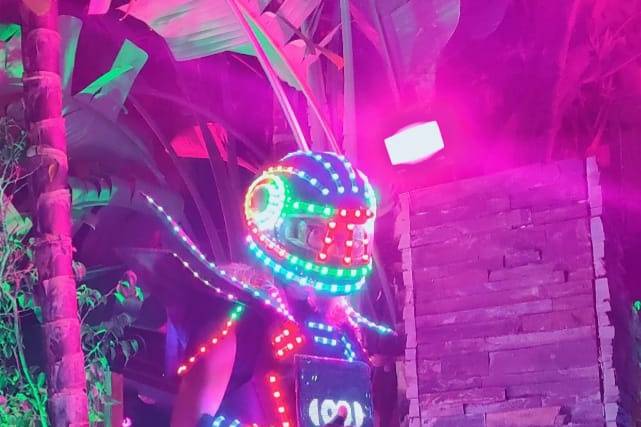 Robot led