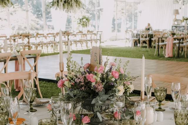 D´Mar Eventos