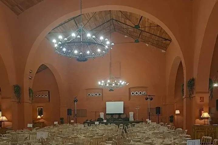 D´Mar Eventos