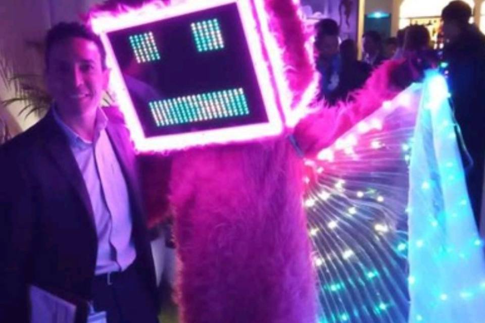Animación cajita peluda led